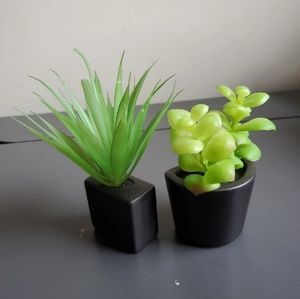 Fake succulent plants